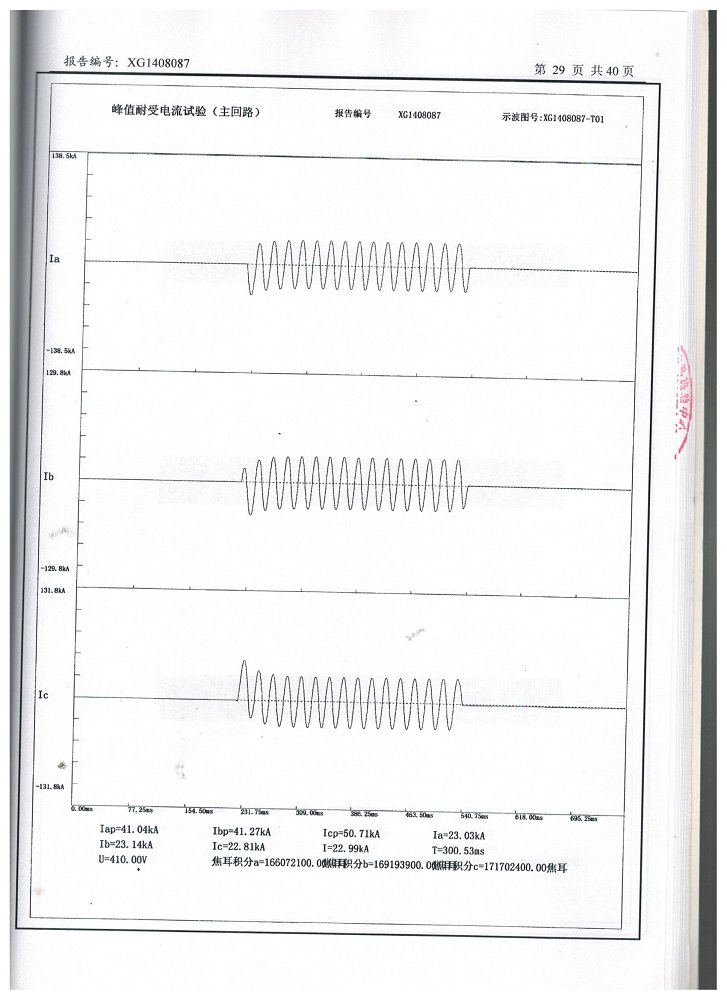 .交流金属封闭环网开关设备(630)型式试验报告(图31)