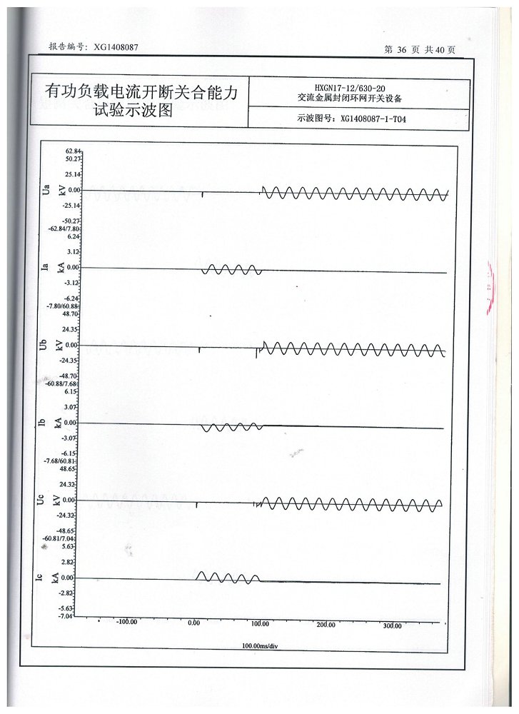 .交流金属封闭环网开关设备(630)型式试验报告(图38)